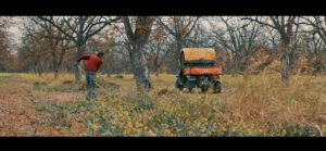 The-Border-12-scaled